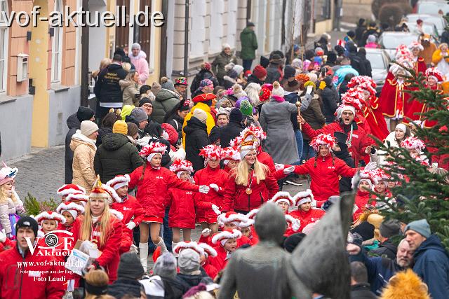 Foto Laudi_Fasching_VOF-9.jpg